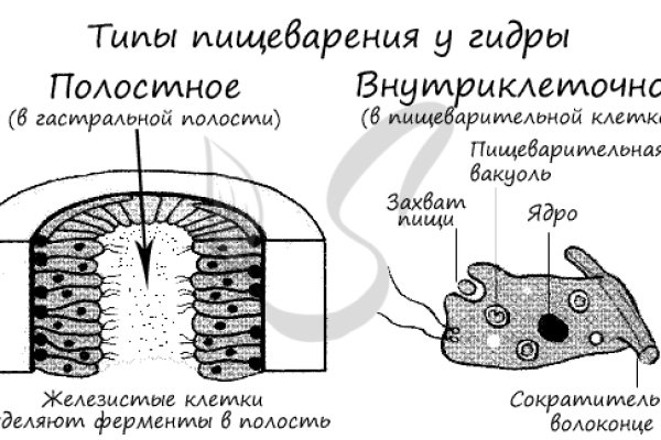 Кракен даркнет маркет ссылка на сайт тор