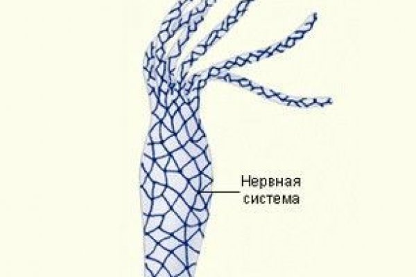 Как найти настоящую кракен даркнет ссылку