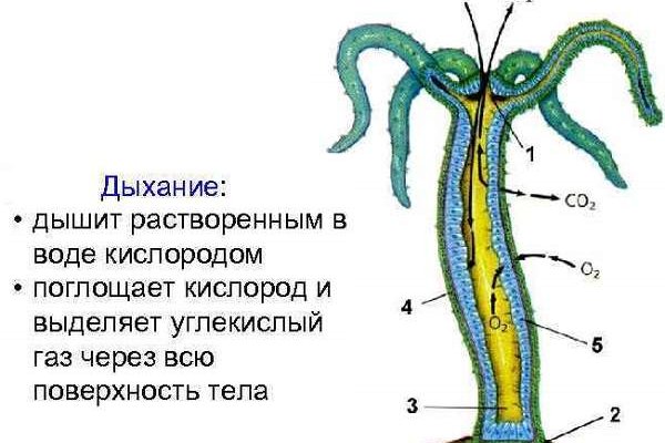 Магазин kraken даркнет