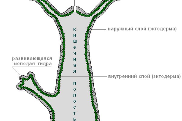 Кракен ссылка официальная на тор