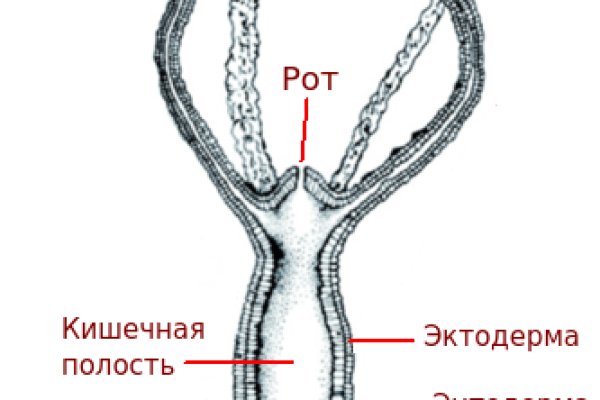 Kraken даркнет рынок ссылка