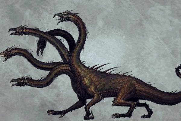 Kraken 6 at