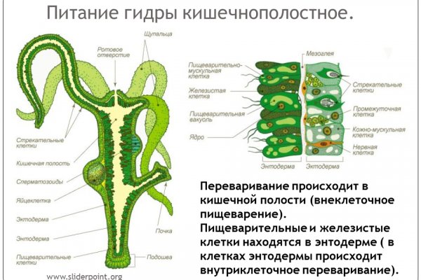 Кракен ссылка онлайн