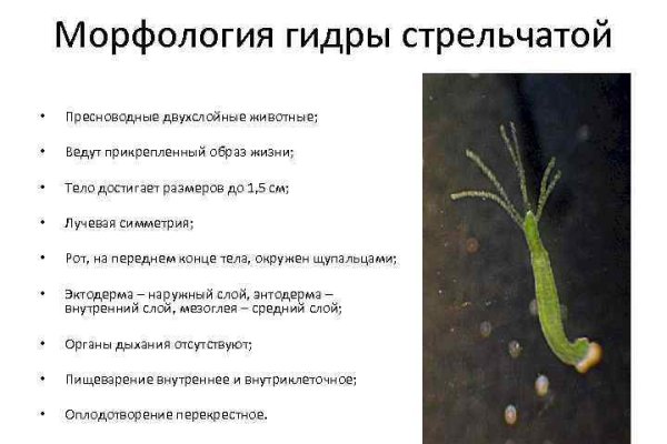 Не могу зайти в аккаунт кракен