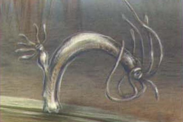 Кракен наркоплощадка