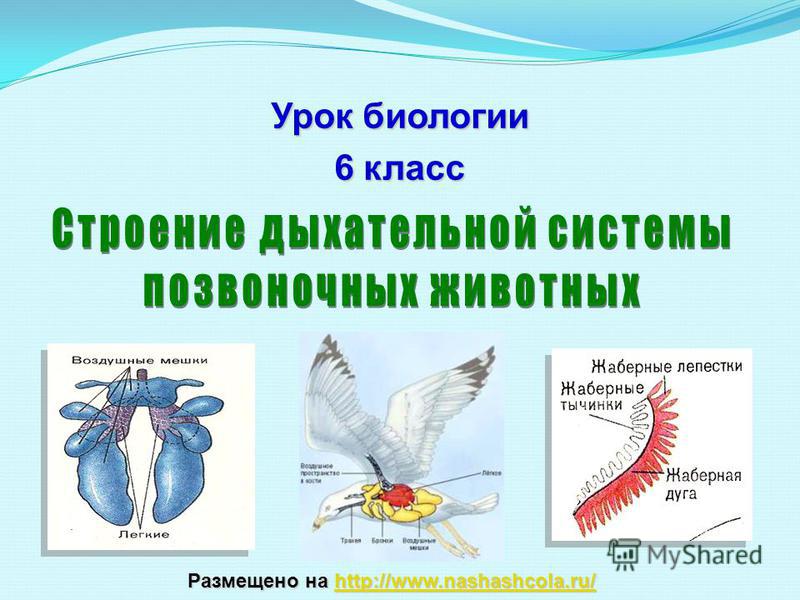 Аккаунты кракен